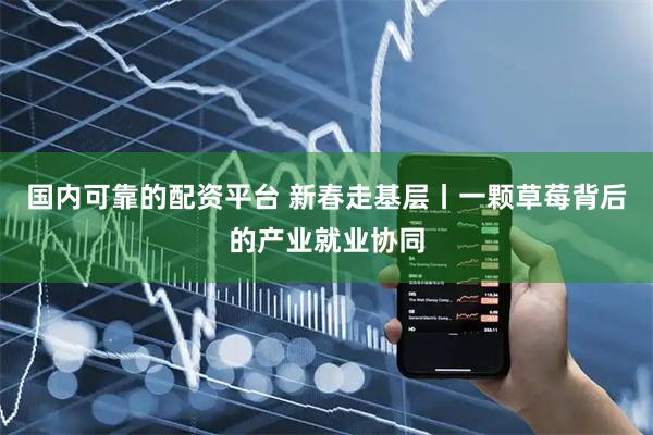 国内可靠的配资平台 新春走基层丨一颗草莓背后的产业就业协同