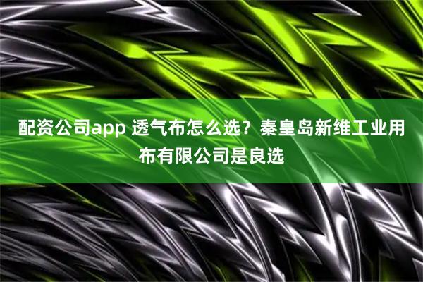 配资公司app 透气布怎么选？秦皇岛新维工业用布有限公司是良选
