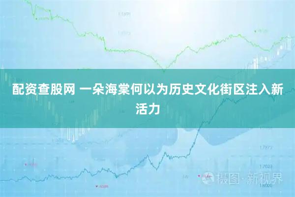 配资查股网 一朵海棠何以为历史文化街区注入新活力